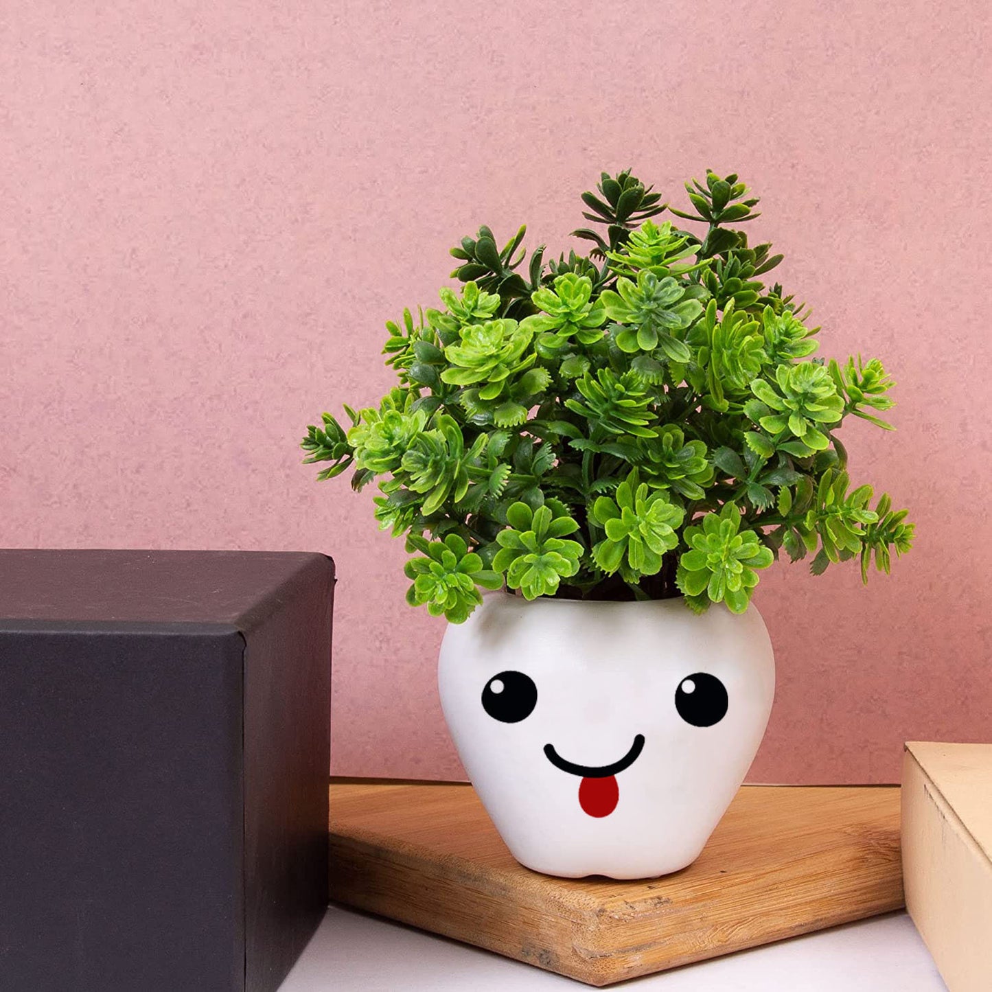 Rakakart- Artificial Plants with Cute Face,set of 3 emoji pots