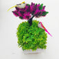 Rakakart-Beautiful artificial Plant for home decor.