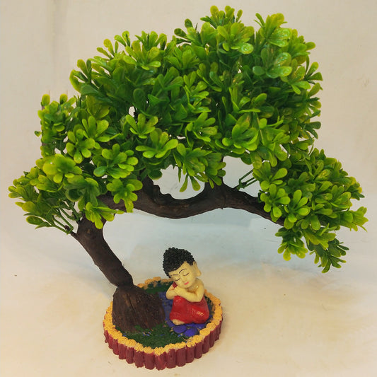 Rakakart- Bonsai plant for home decoration