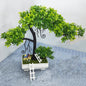 Rakakart bonsai plant ,tiny house,& ladders for home decoration. .